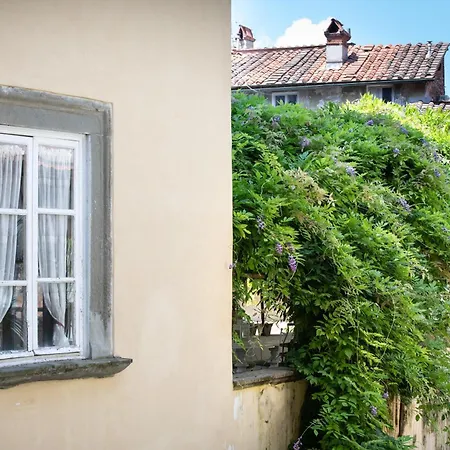 Apartment Sant Agostino Luxury With Terrace Lucca