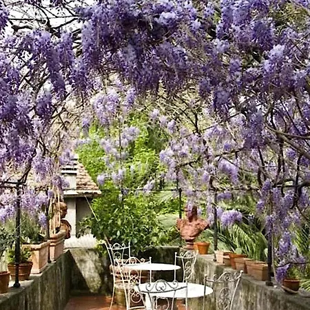 Sant Agostino Luxury With Terrace Apartment *